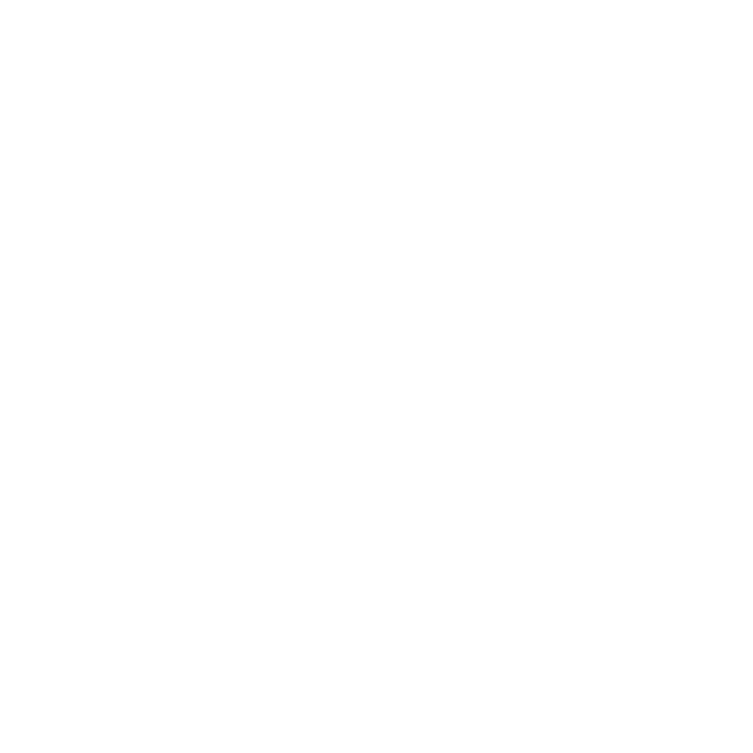 Cat Illustration